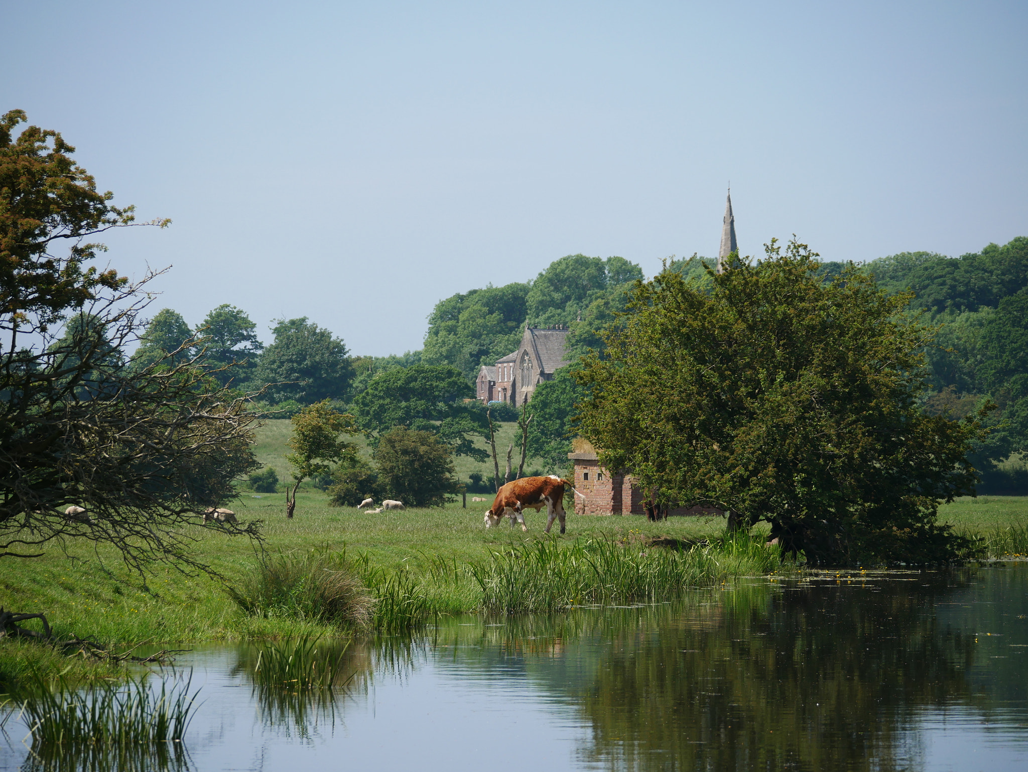 Panasonic Lumix DMC-G85 (Lumix DMC-G80) sample photo. Lancashire pastoral photography