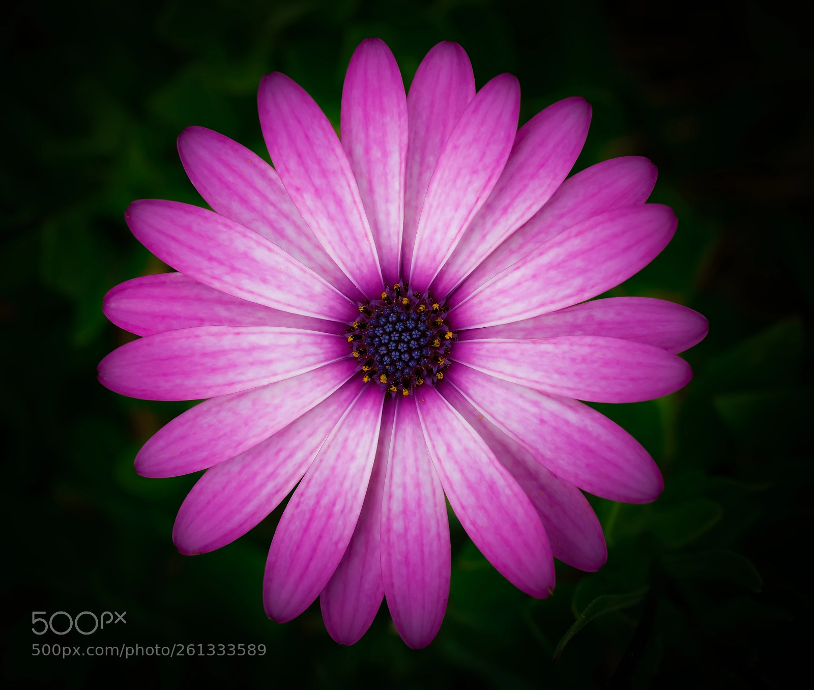 Sony a6000 sample photo. Nature beauty photography