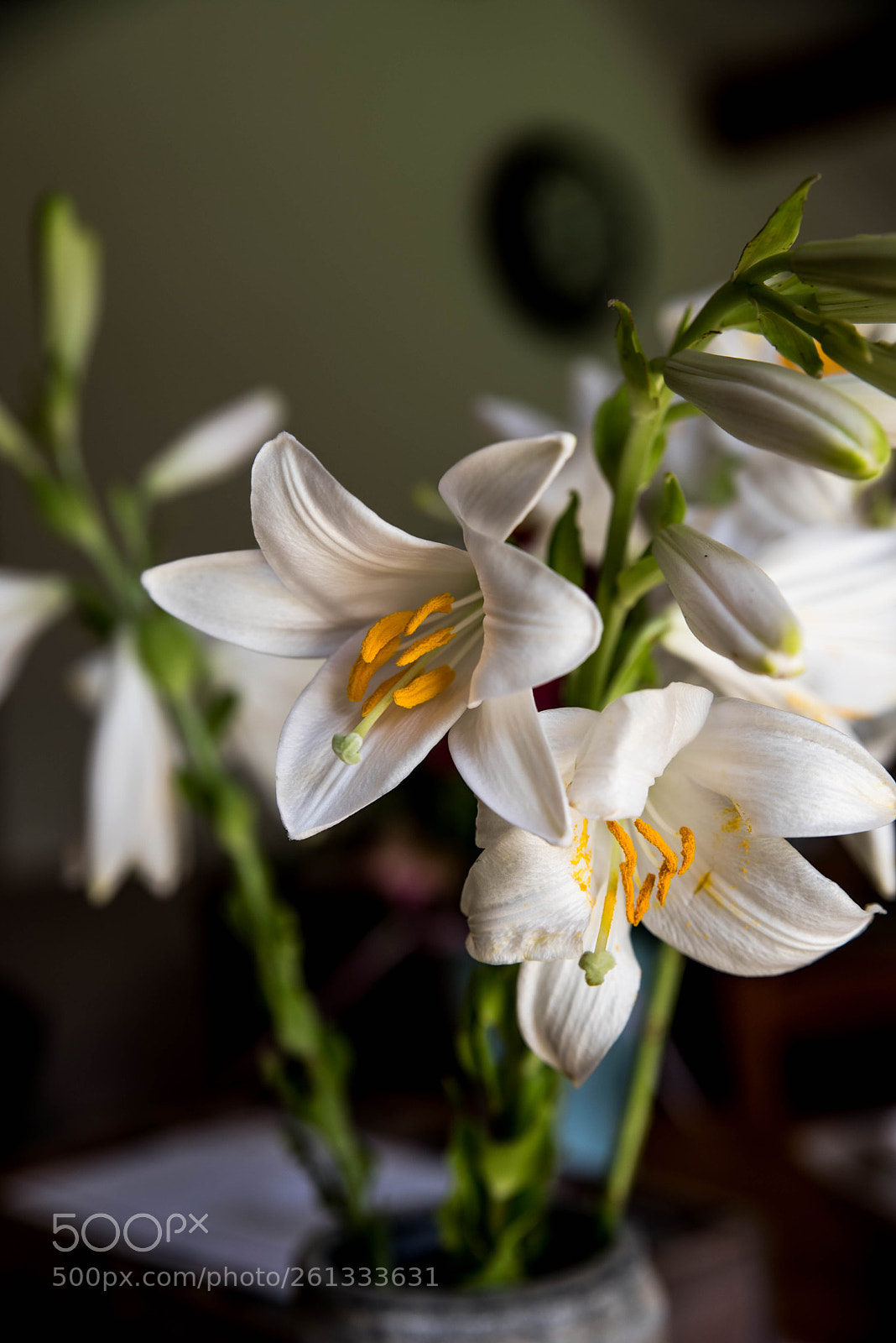 Nikon D750 sample photo. Fleurs photography