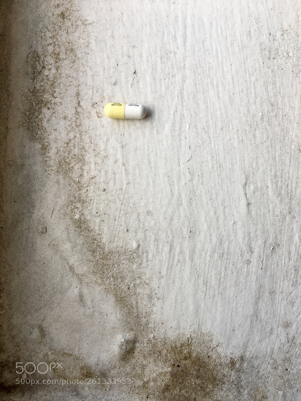 Apple iPhone 6s sample photo. Untitled photography