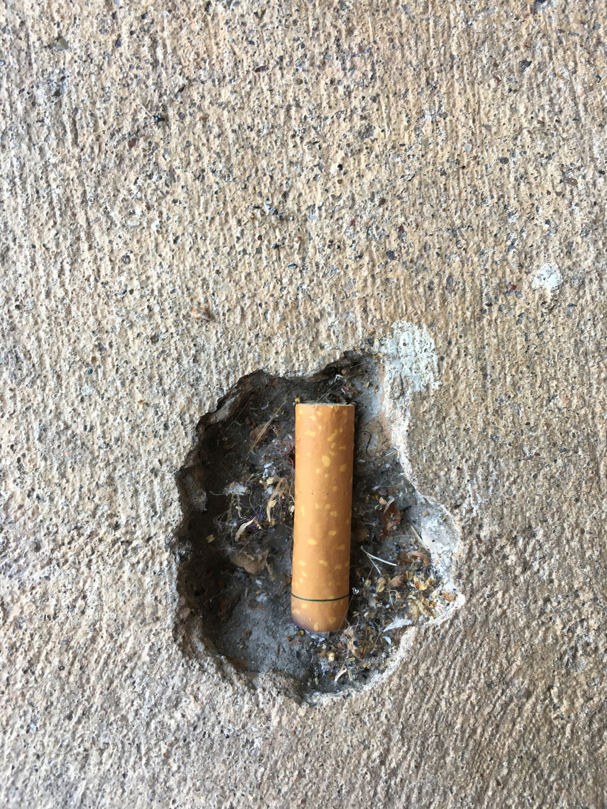 Apple iPhone 6s sample photo. Untitled photography