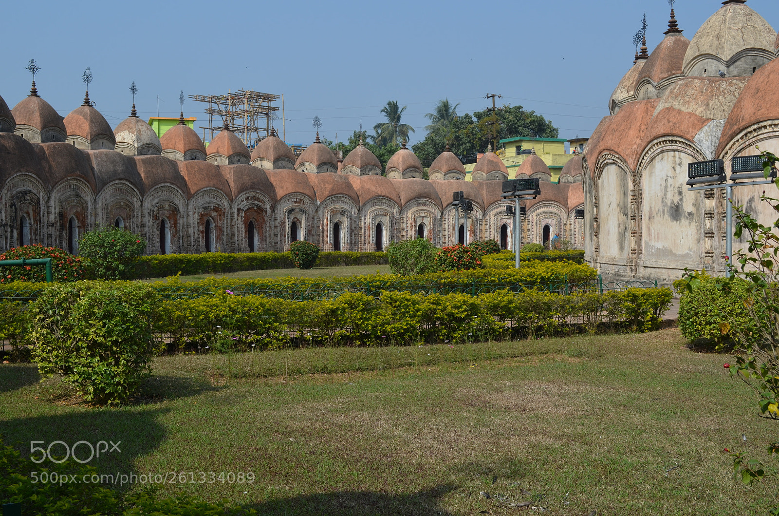 Nikon D5100 sample photo. Picture photography