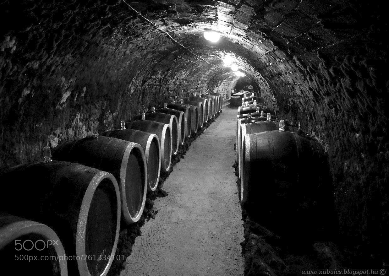 Pentax K-30 sample photo. Winecellar, tolcsva photography