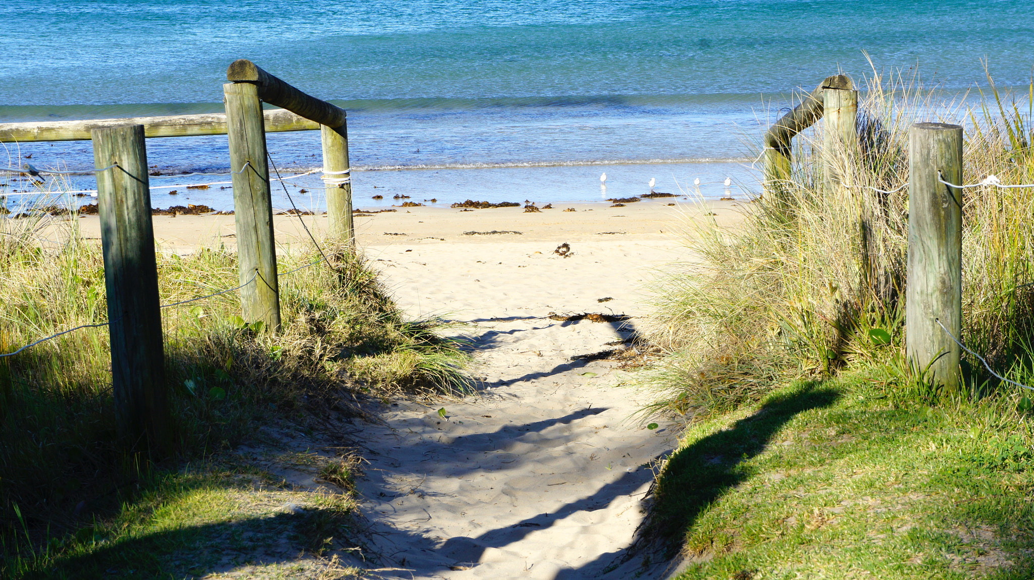 Sony Alpha NEX-3 sample photo. Lets go to the beach photography