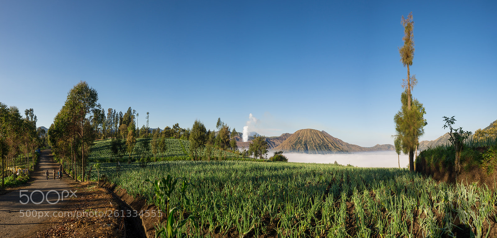 Nikon D3S sample photo. Bromo volcano and farmland photography