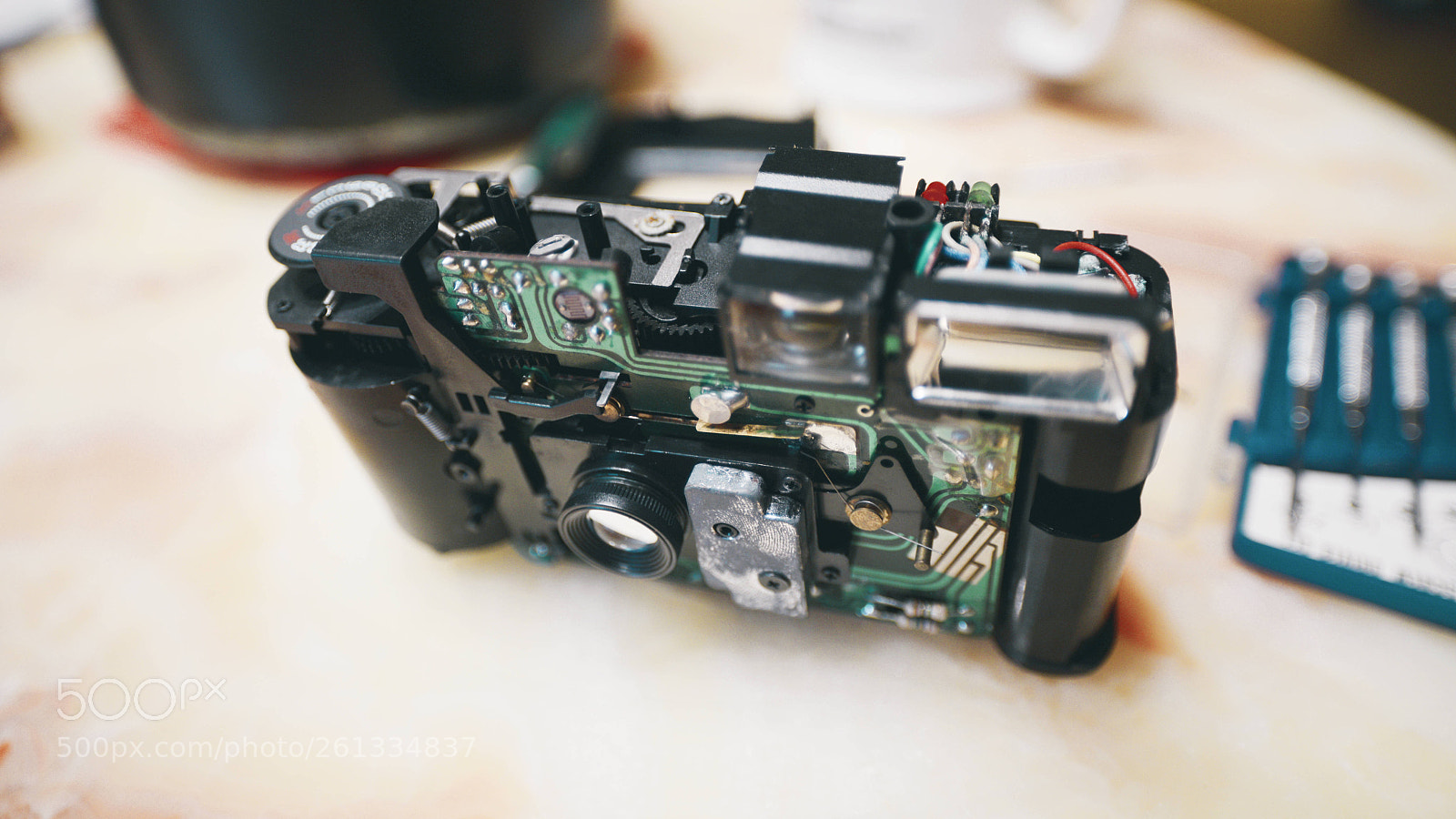 Nikon D800E sample photo. Toma camera photography