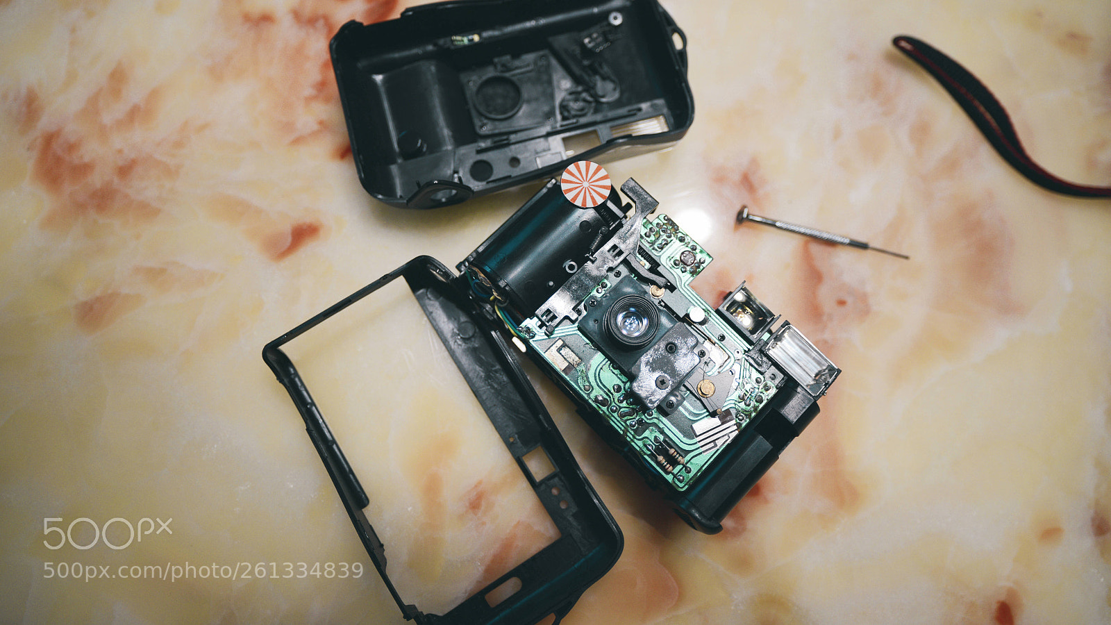 Nikon D800E sample photo. Toma camera photography