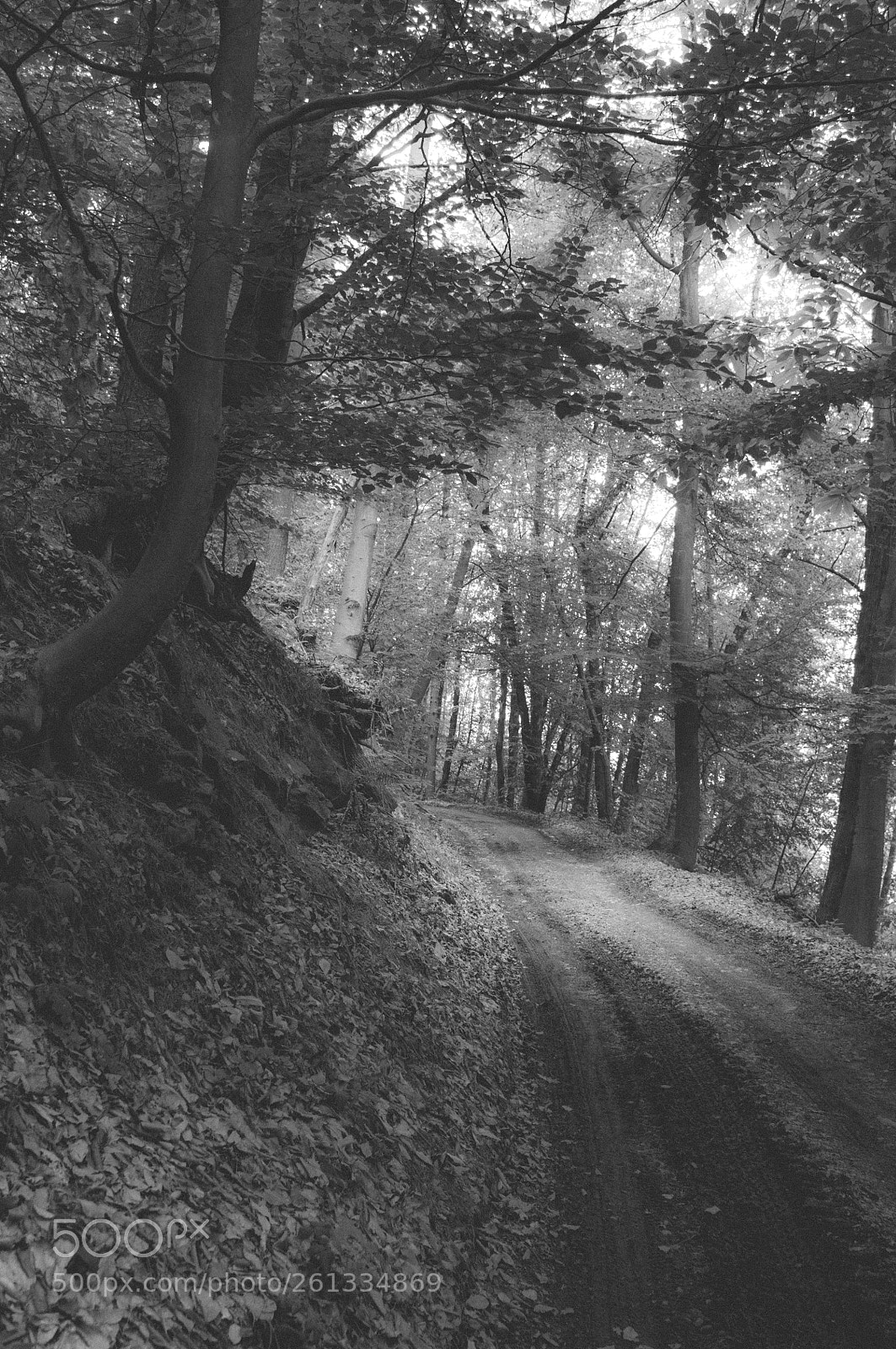 Nikon D300 sample photo. Corridor to the future photography