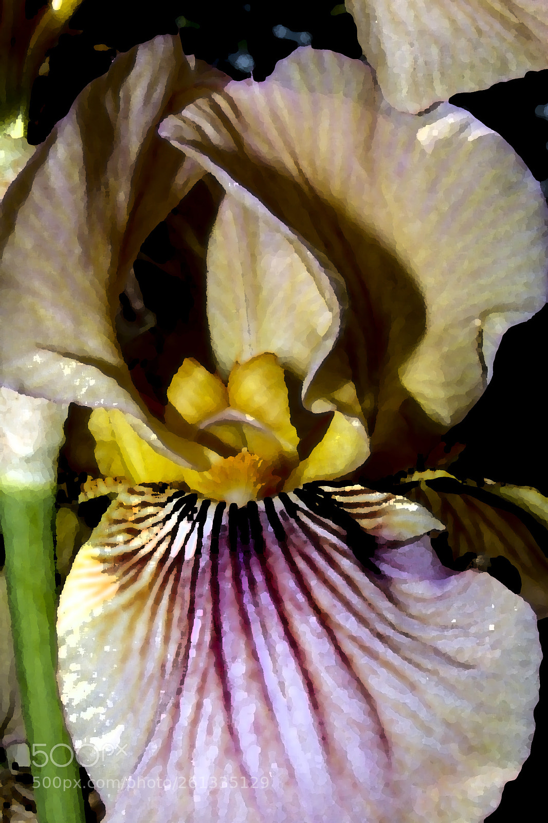 Canon EOS 20D sample photo. Untitled photography