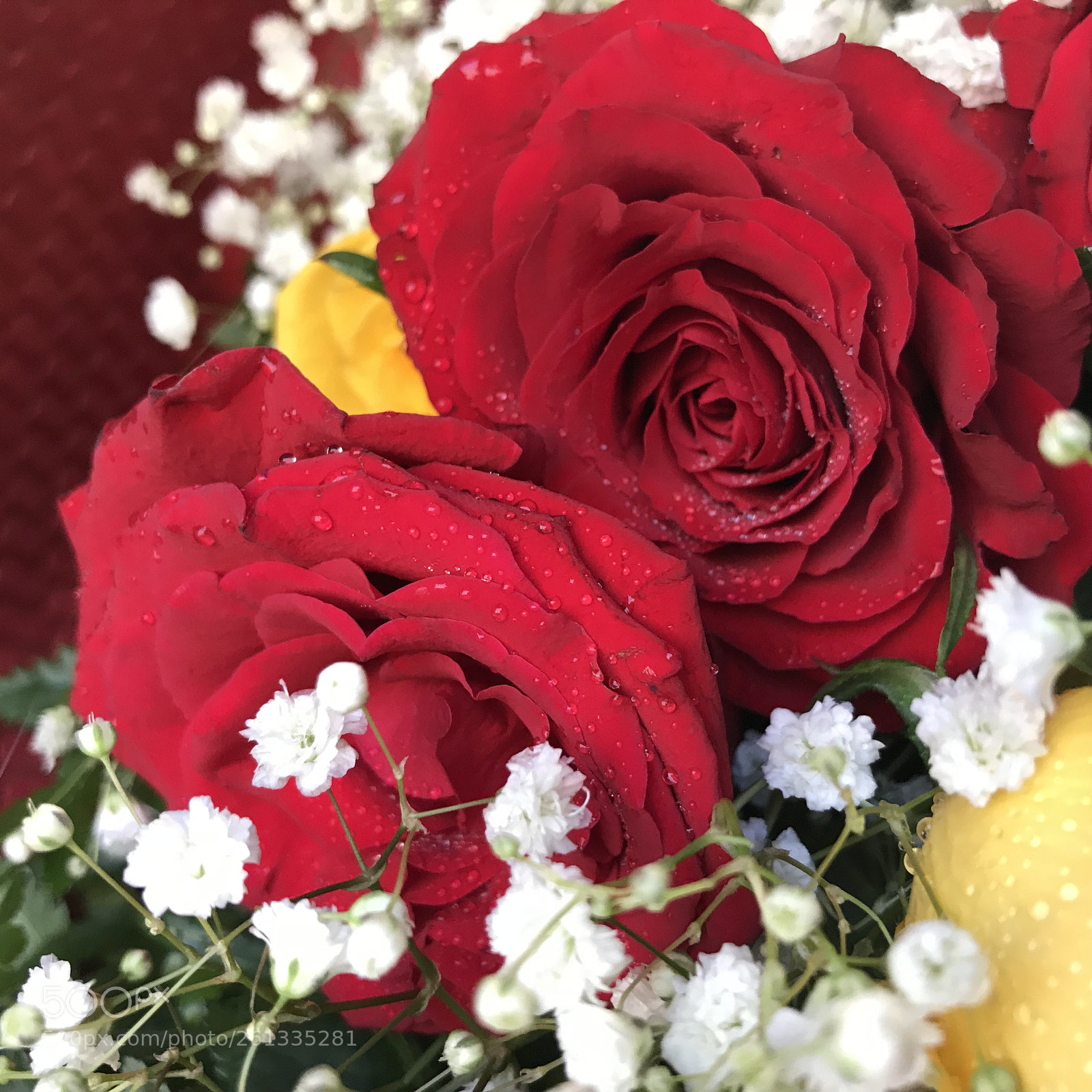 Apple iPhone 7 Plus sample photo. Untitled photography