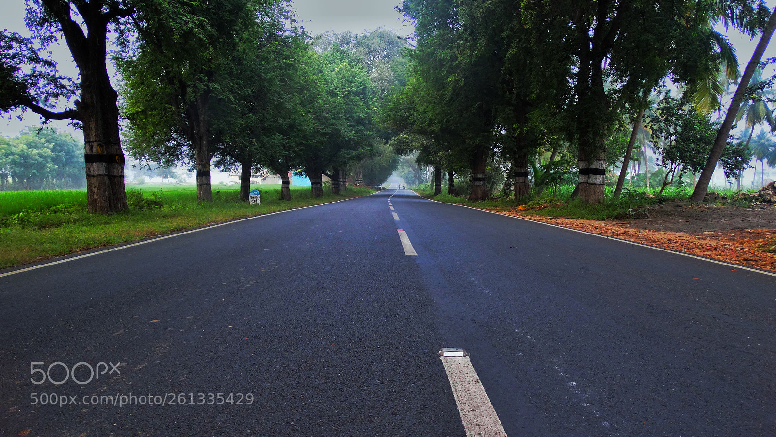 Sony Cyber-shot DSC-HX300 sample photo. The morning road. photography