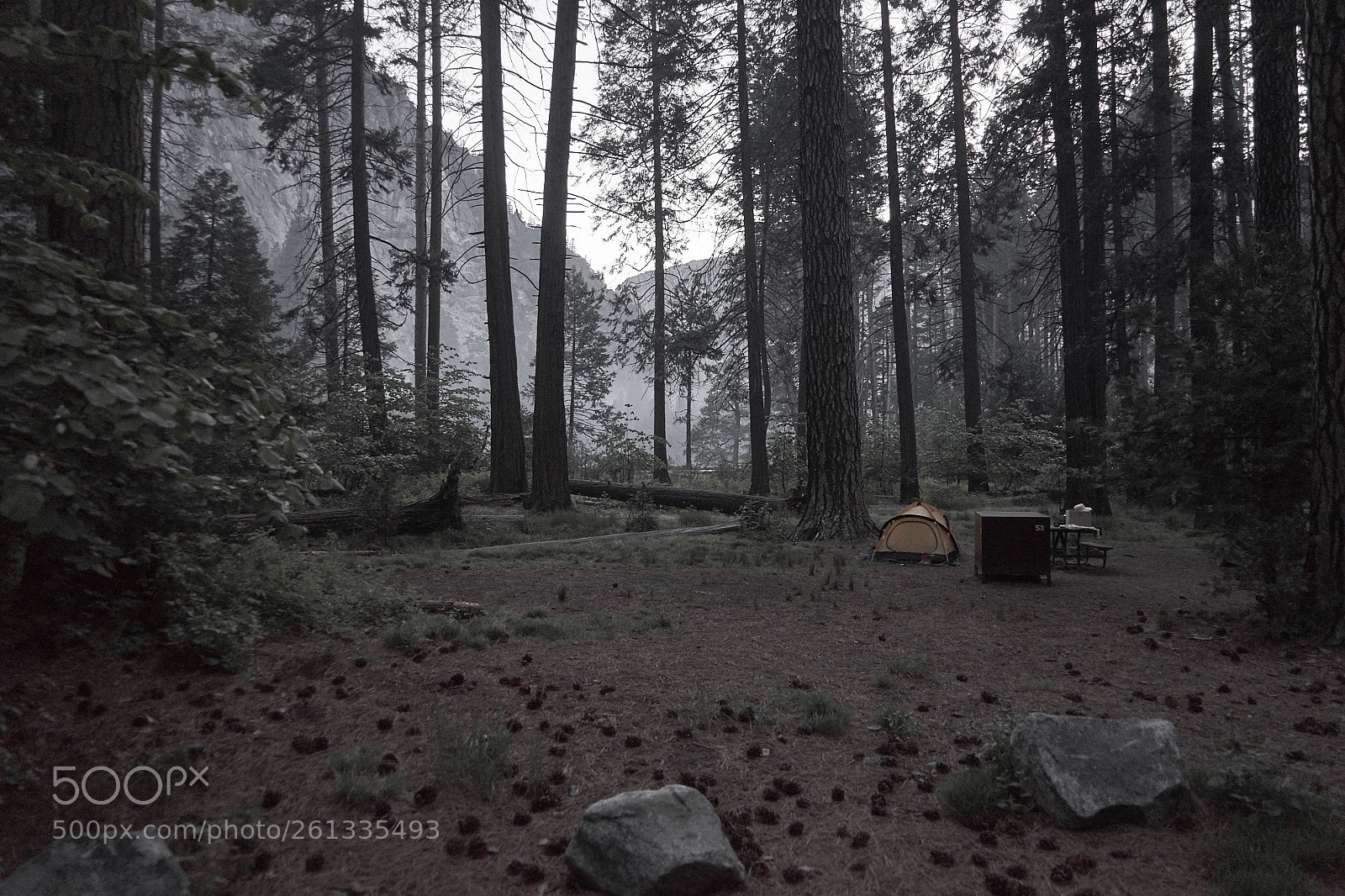 Sony a7 II sample photo. The human factor photography
