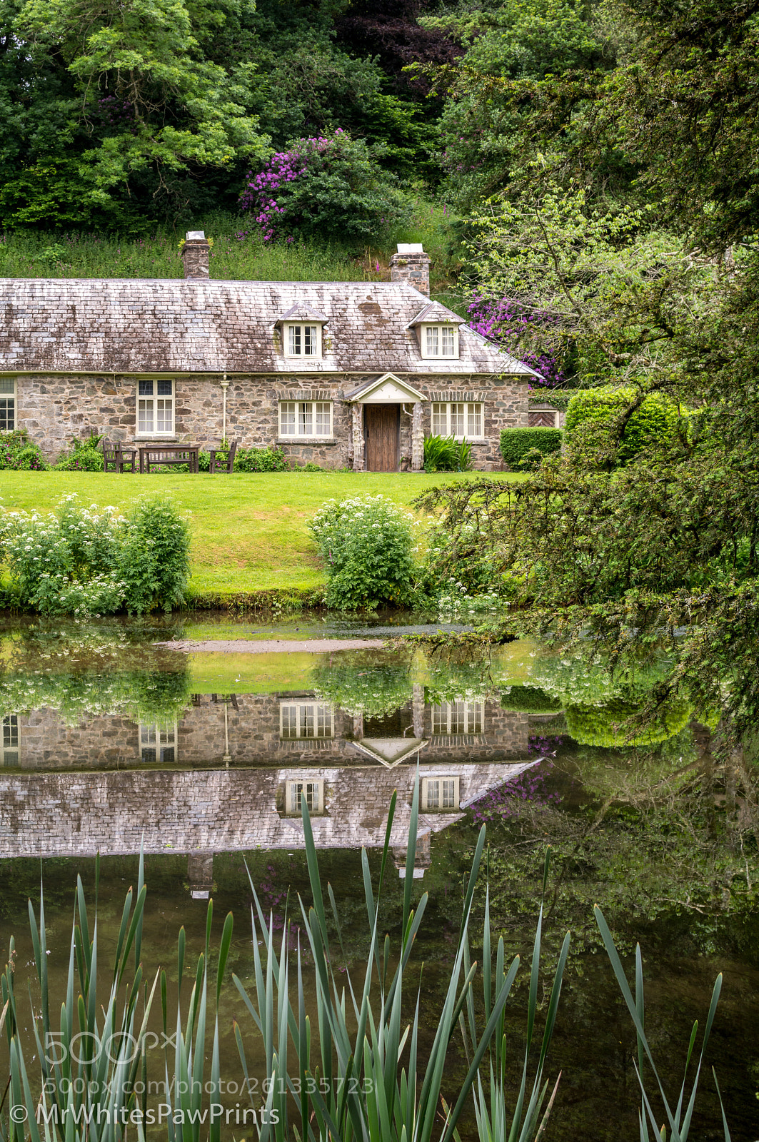 Nikon D7100 sample photo. Hotel endsleigh, devon photography