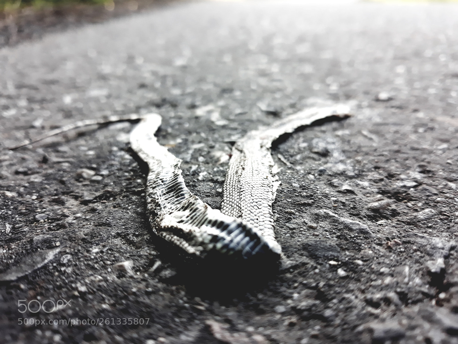 Samsung Galaxy J7 sample photo. Untitled photography