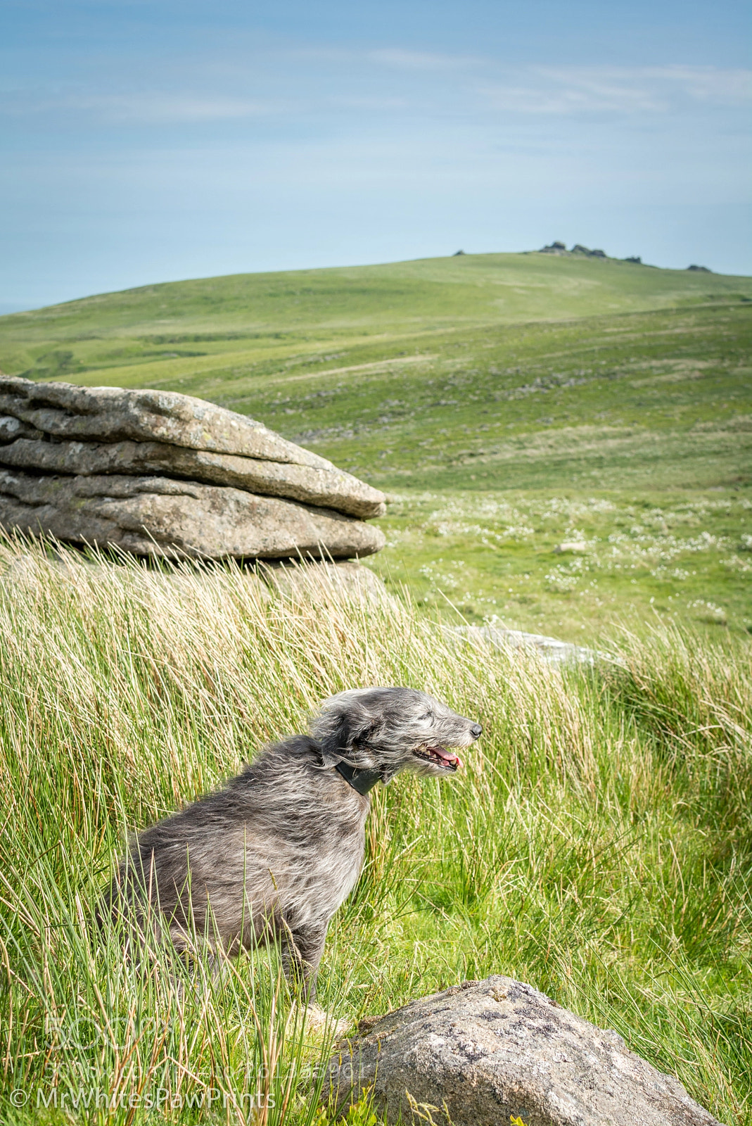 Nikon D7100 sample photo. Sharp tor views, dartmoor photography