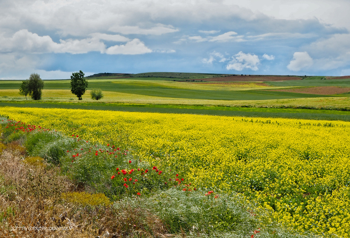 Olympus OM-D E-M10 III sample photo. Paseando por los oteros photography