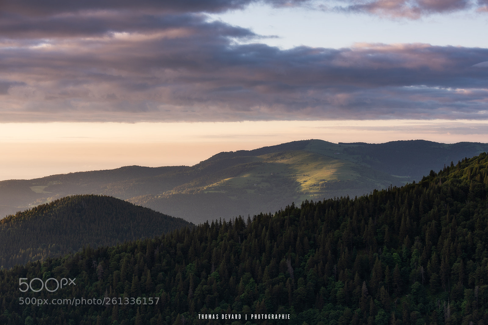 Nikon D810 sample photo. Vue sur le petit photography