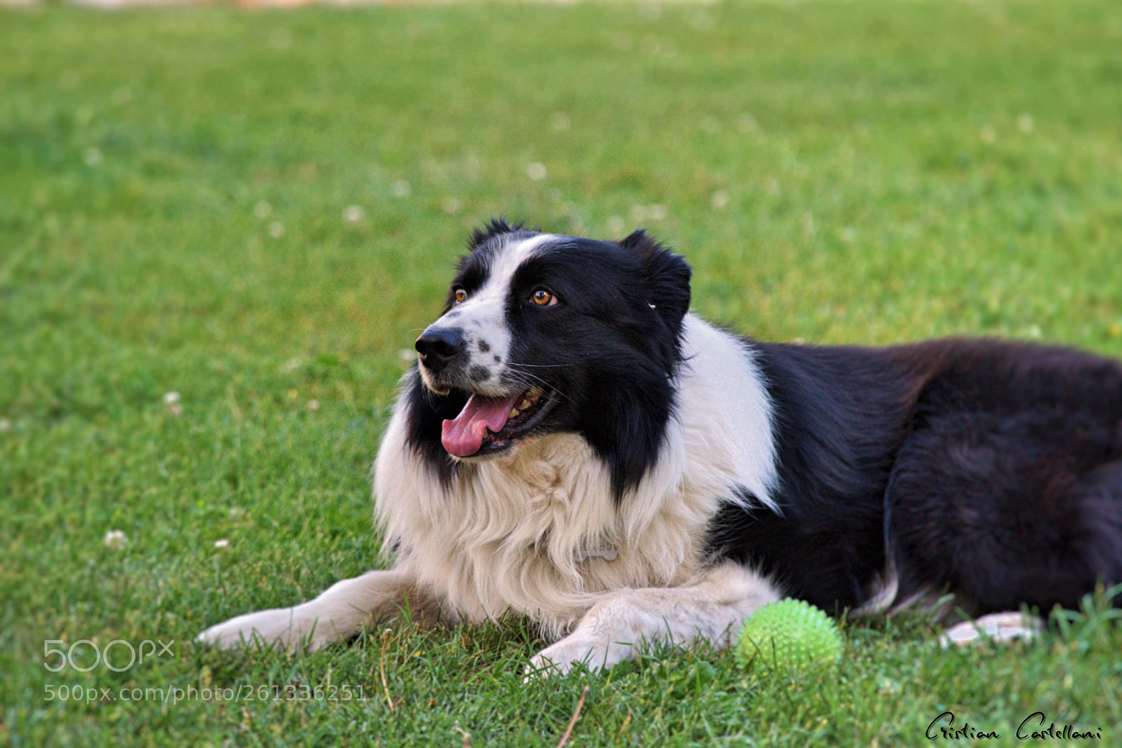 Nikon D3300 sample photo. Happy faces photography