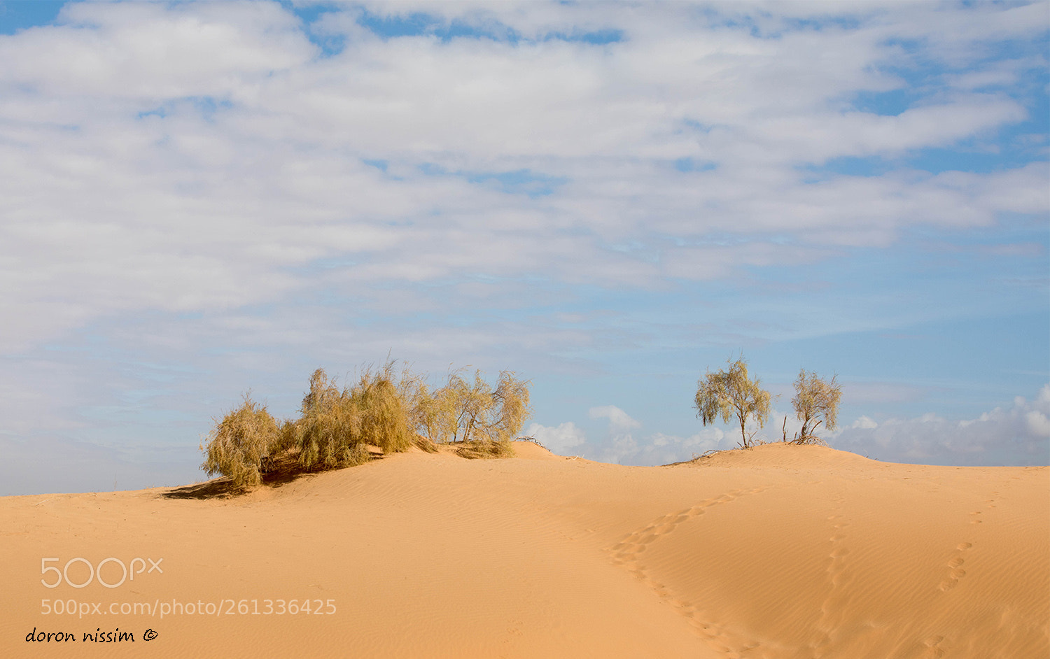 Canon EOS 5D Mark IV sample photo. Dunes photography