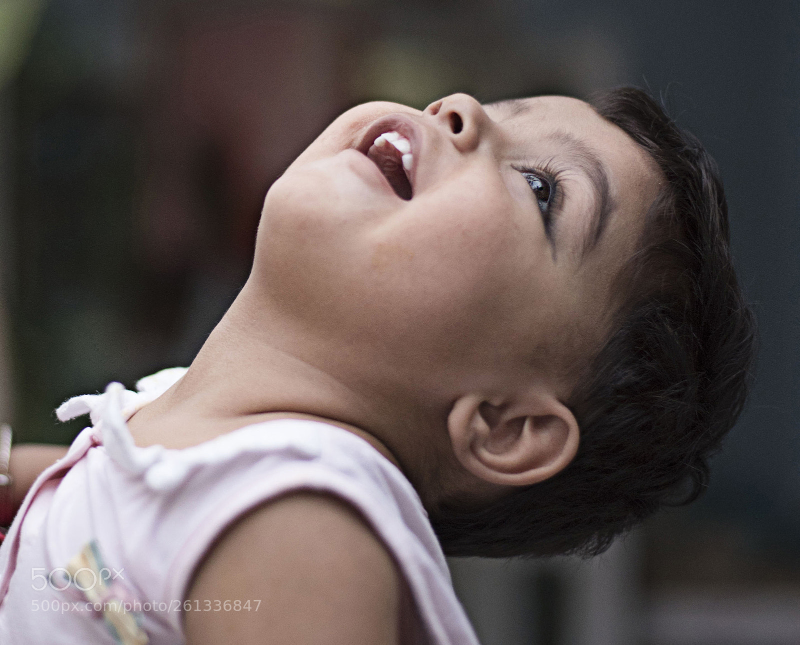 Nikon D750 sample photo. Crop photography