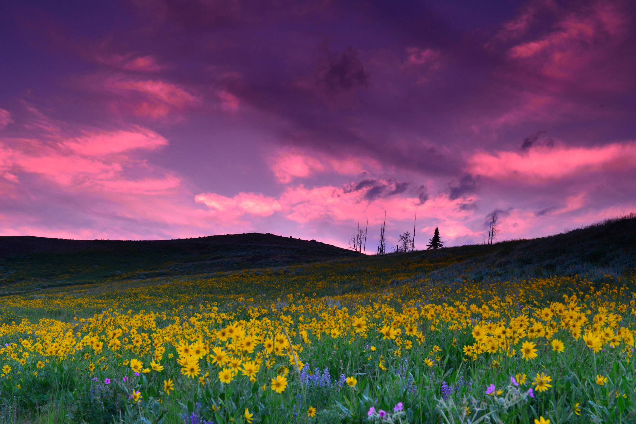 Nikon D800E sample photo. Standing ovation photography