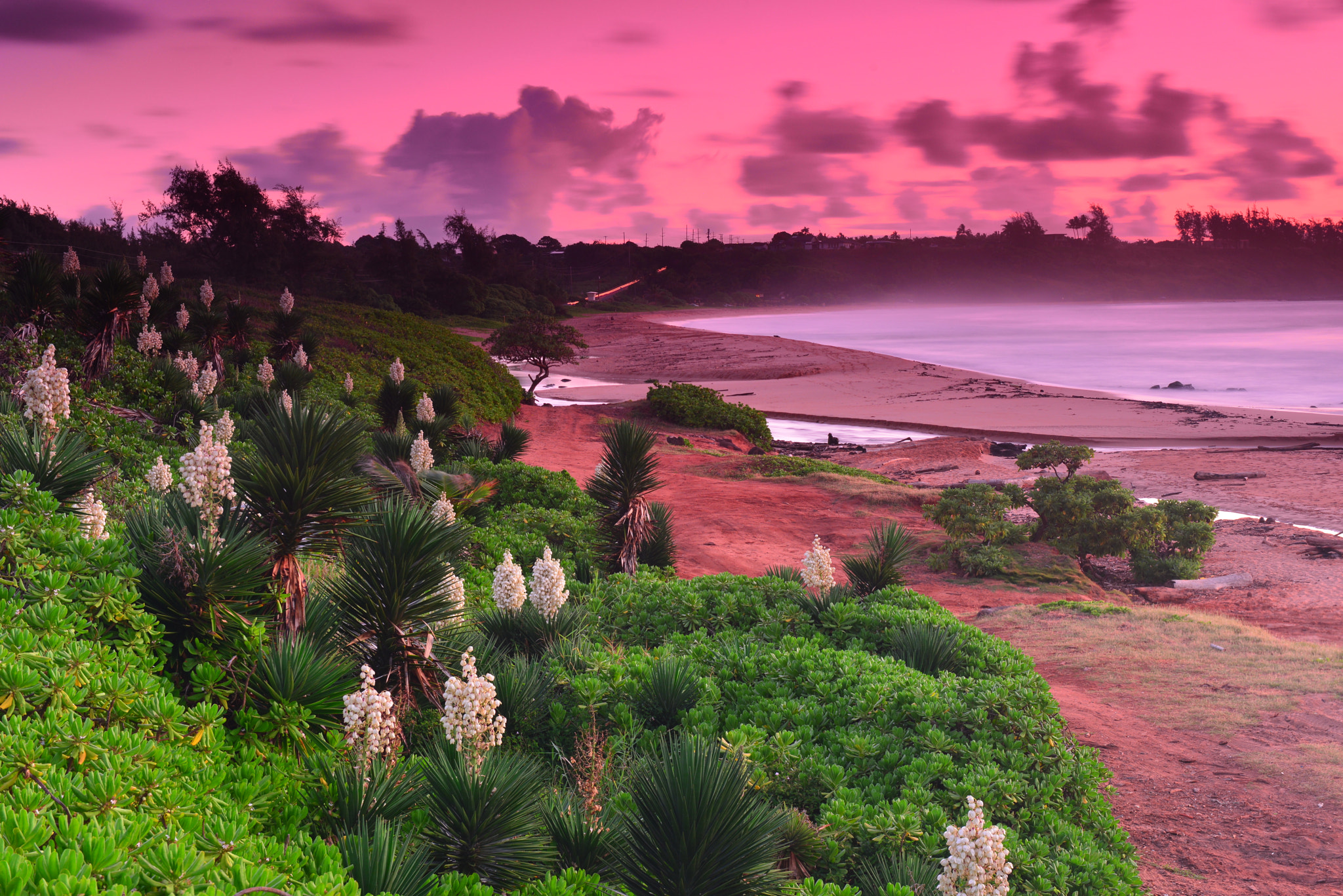 Nikon D800E sample photo. Tropical dream photography