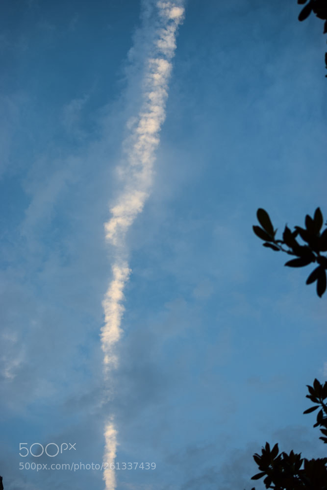 Nikon D5300 sample photo. Untitled photography
