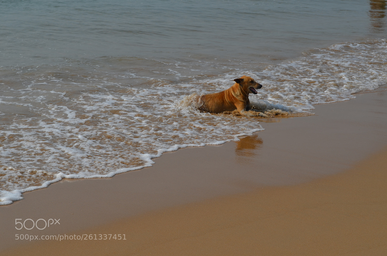 Nikon D5100 sample photo. Picture photography