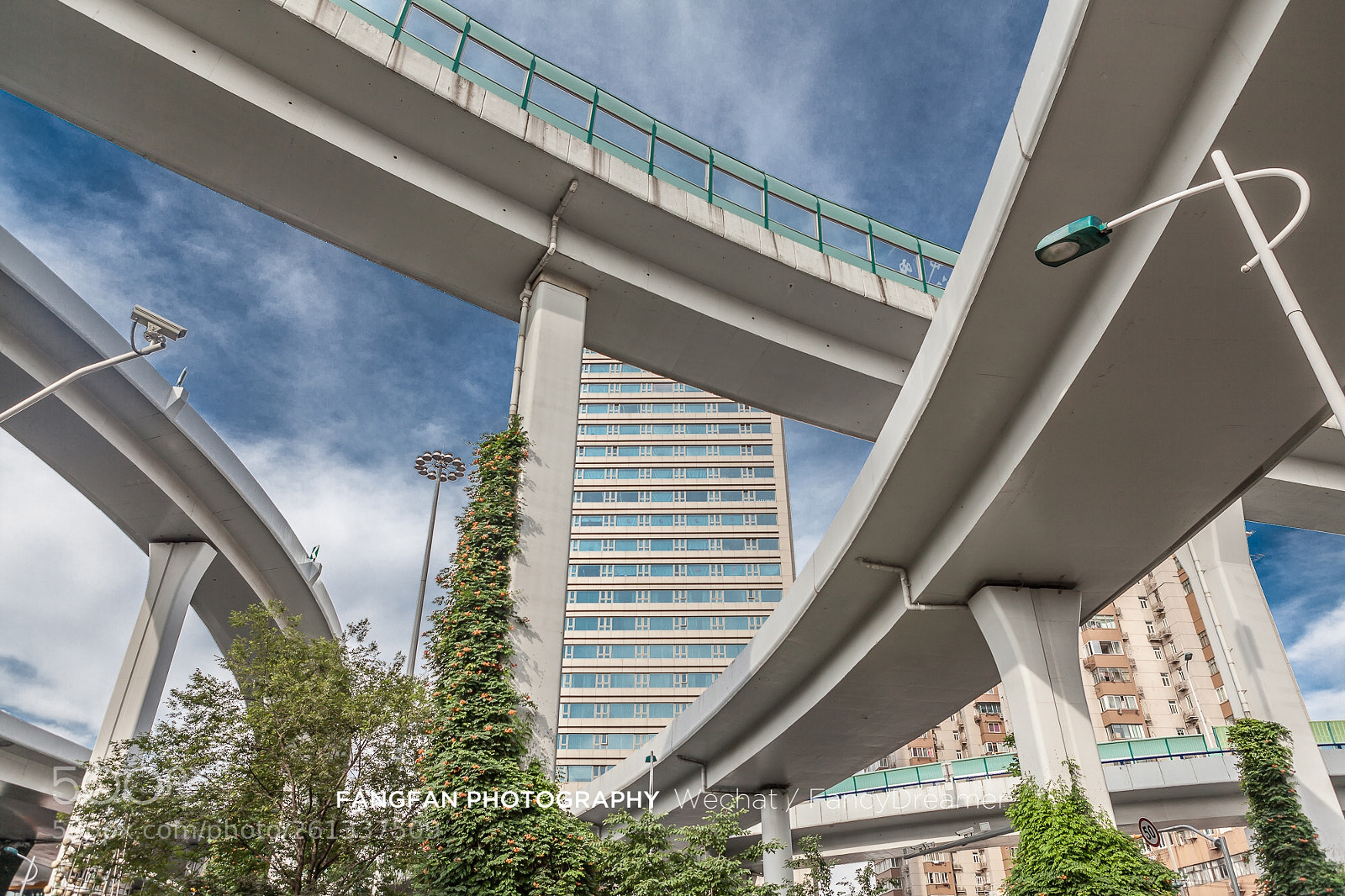 Canon EOS 5D Mark II sample photo. 最难的那道题 是成长 来不及好好告别 已再无交集～ photography
