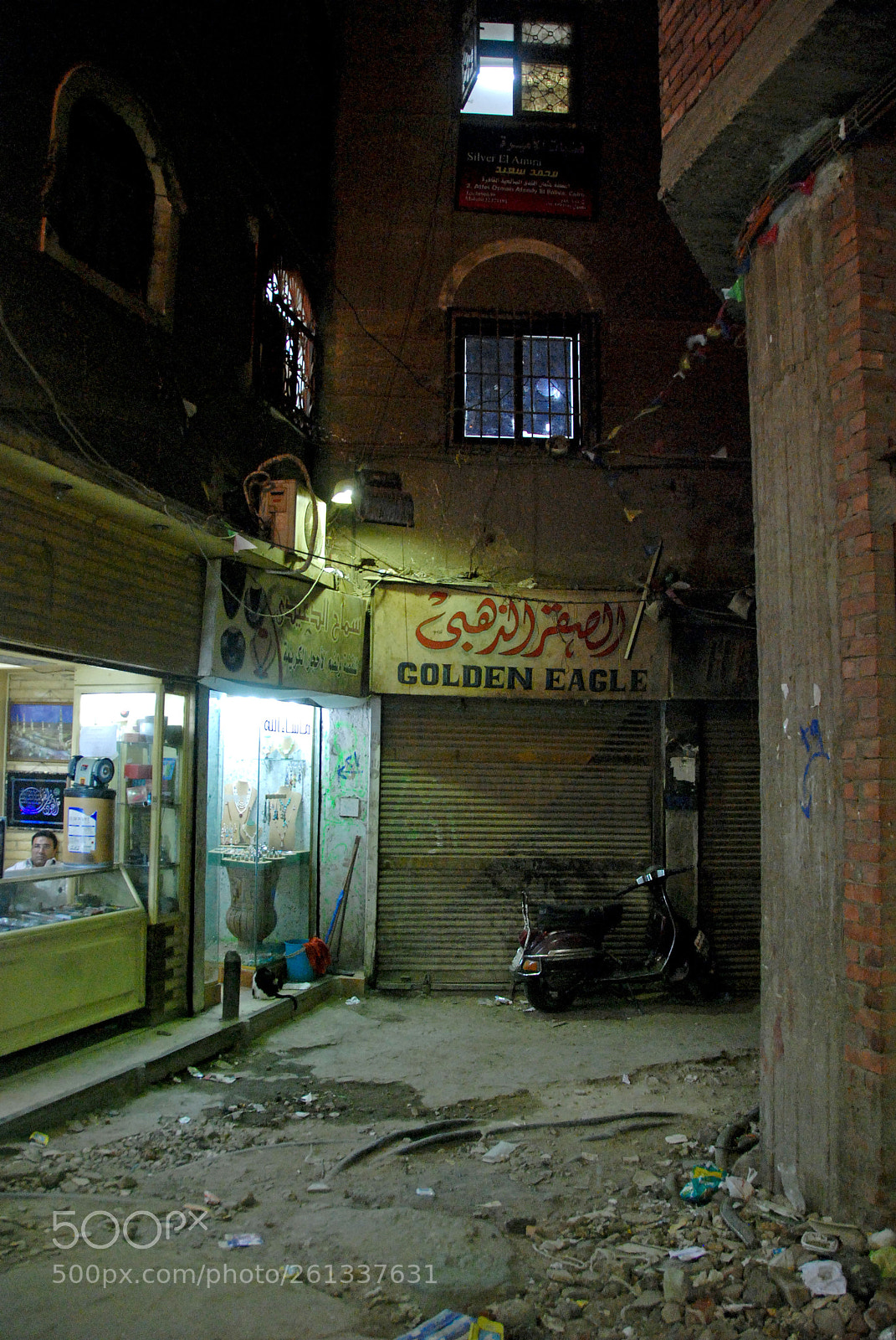 Nikon D80 sample photo. Golden eagle. cairo. photography