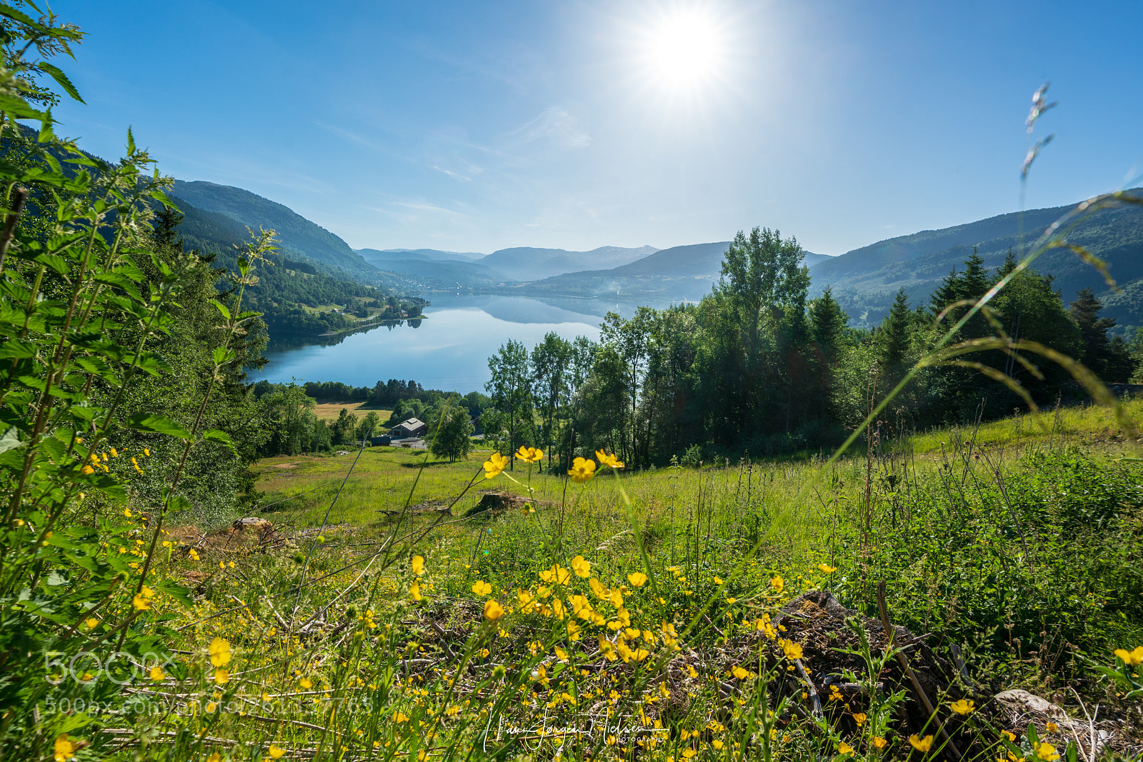 Sony a7R II sample photo. Summer morning photography
