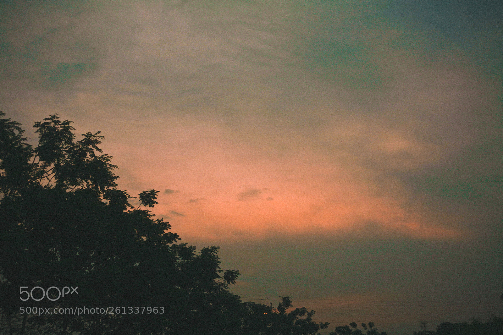 Canon EOS 5D sample photo. In the sunset photography
