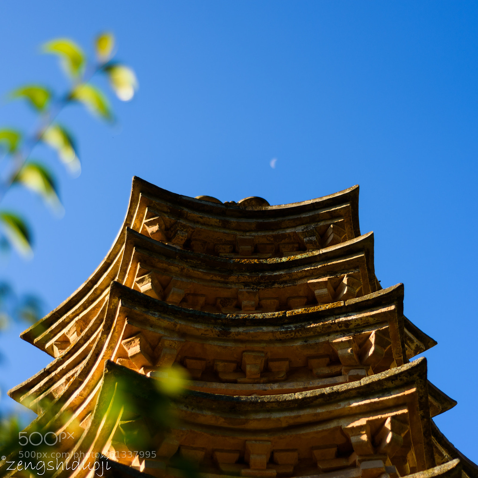 Nikon D750 sample photo. 危楼高百尺 photography
