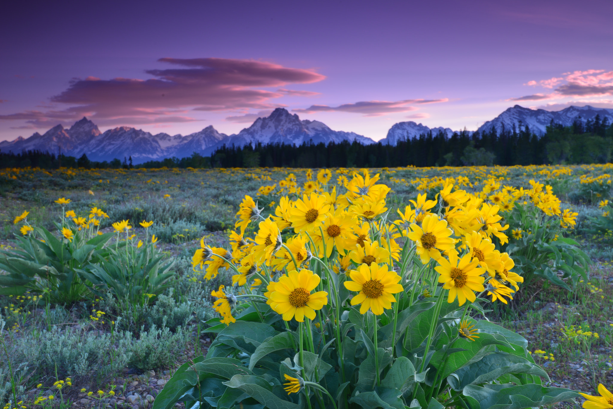 Nikon AF-S Nikkor 16-35mm F4G ED VR sample photo. Spring morning at tetons photography