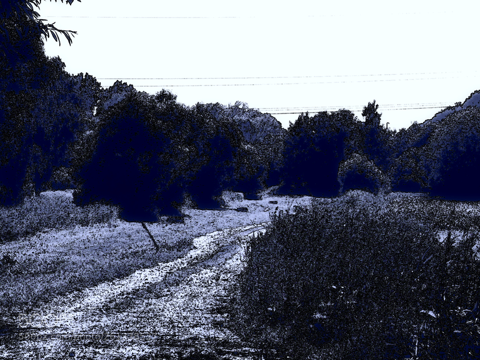 Nikon Coolpix P530 sample photo. Cyanography004 photography