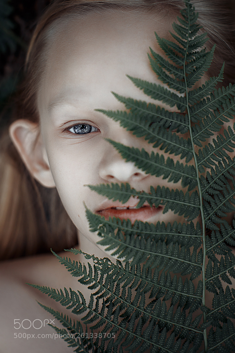 Canon EOS 6D sample photo. ... photography