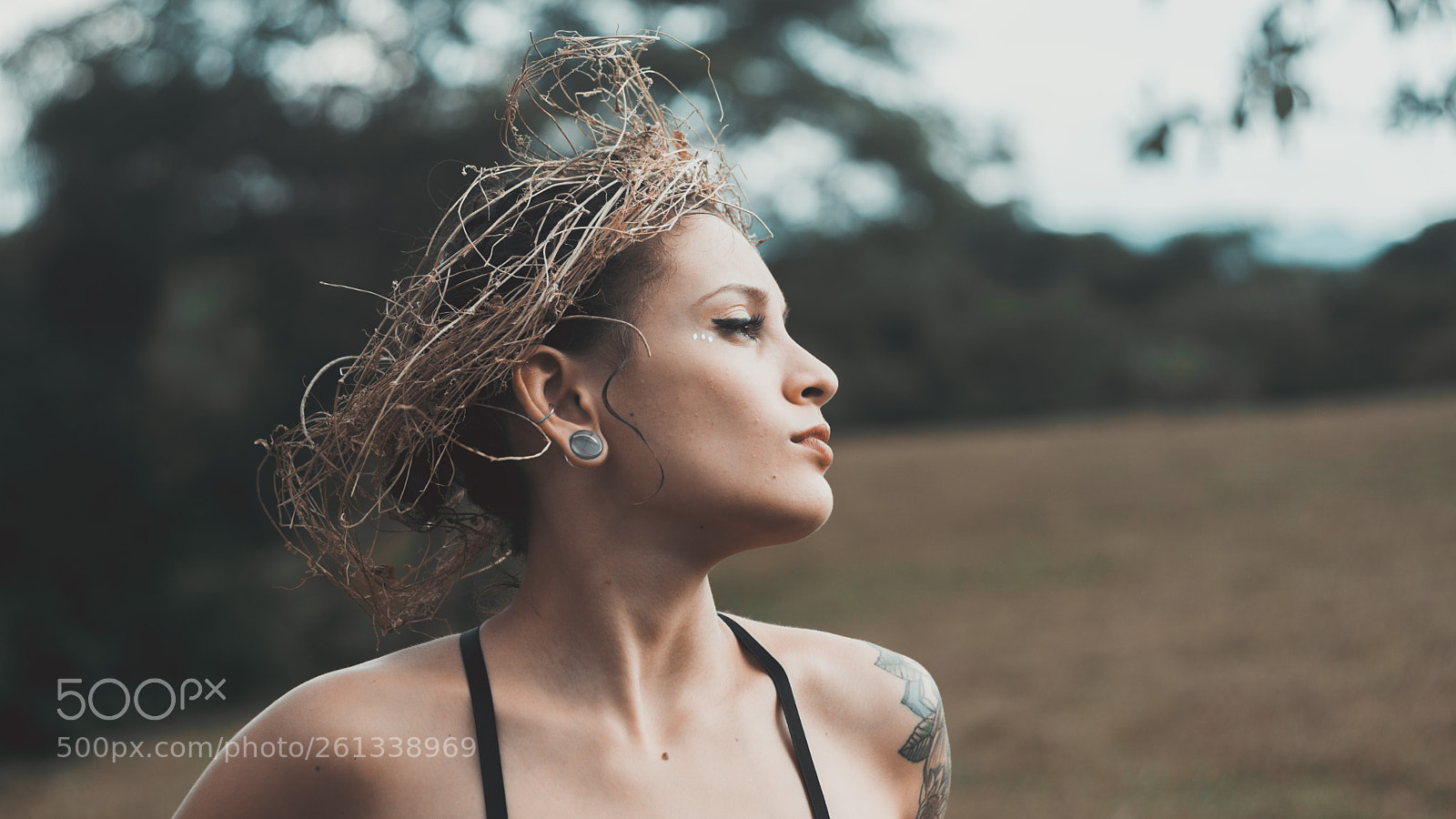 Sony a6000 sample photo. Untitled photography