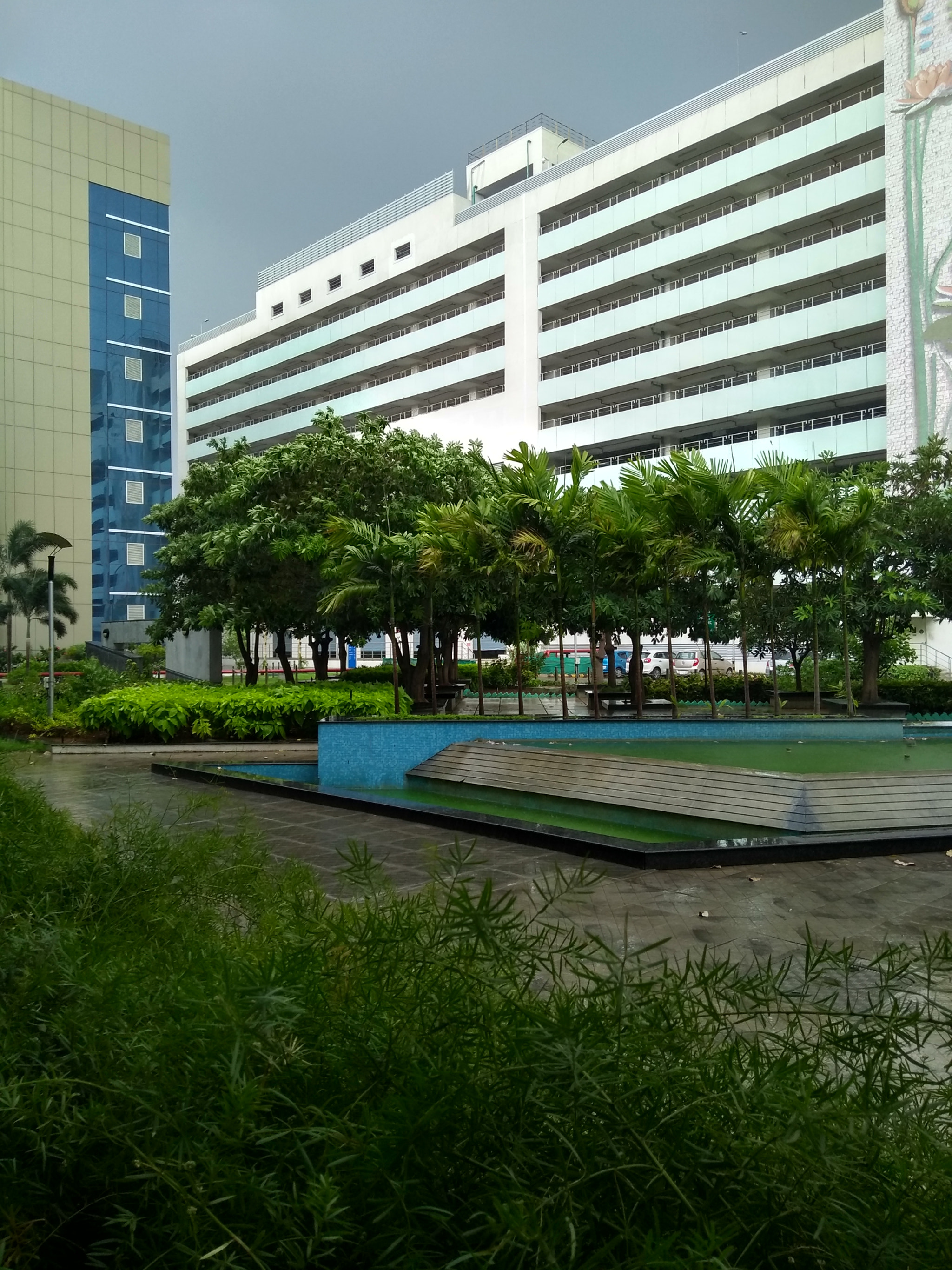 Motorola Moto G (5S) Plus sample photo. Rainy evening photography