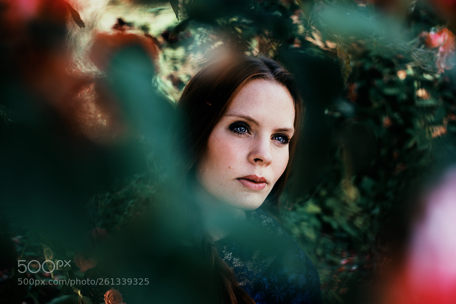 Nikon D610 sample photo. . photography