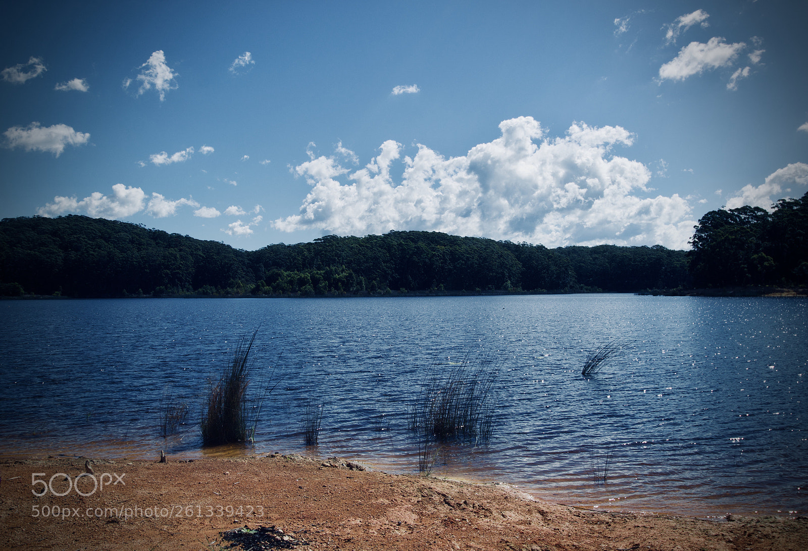 Canon EOS 60D sample photo. Cooloolabin dam photography