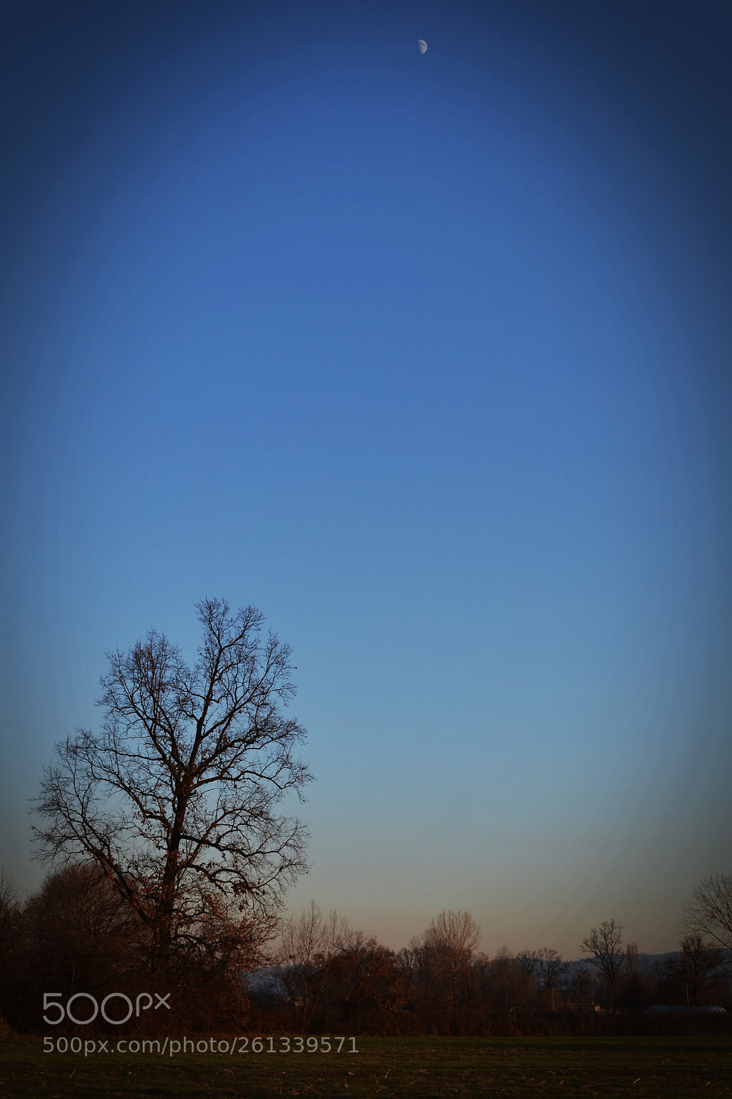 Nikon D3100 sample photo. - another moon - photography