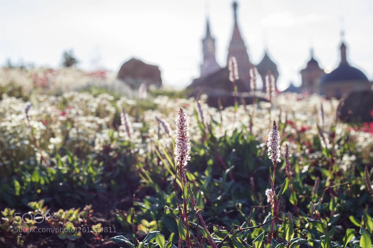 Canon EOS 600D (Rebel EOS T3i / EOS Kiss X5) sample photo. Park zaryadye. moscow photography