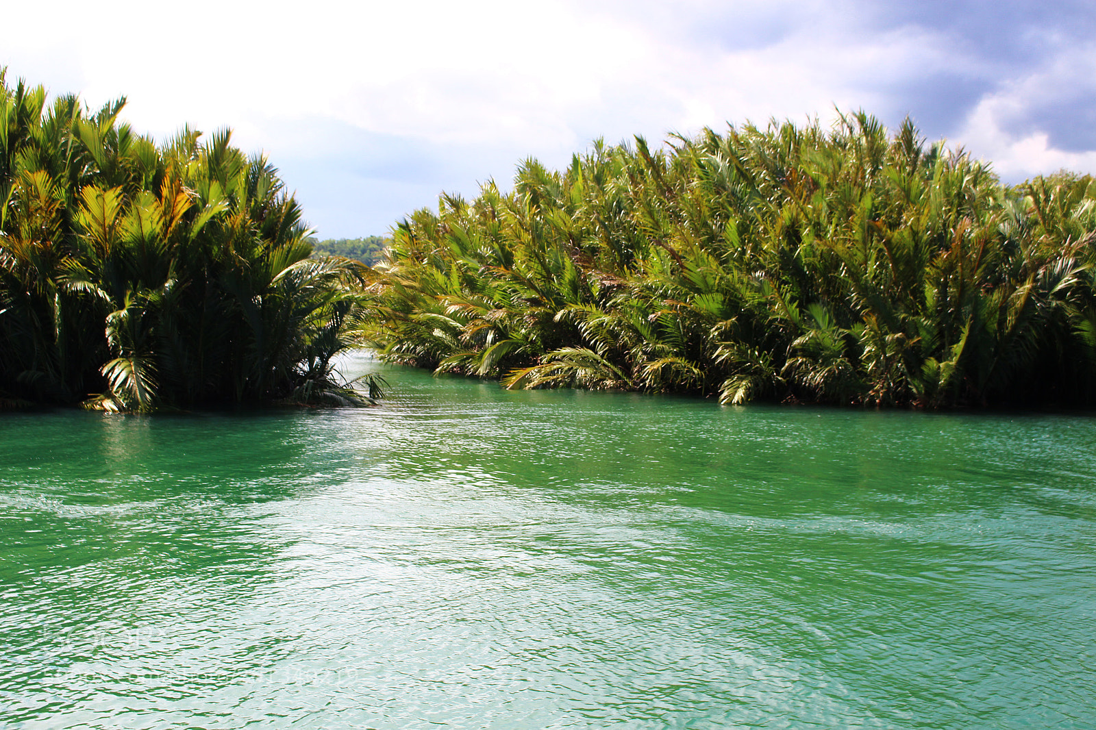 Canon EOS 700D (EOS Rebel T5i / EOS Kiss X7i) sample photo. Panglao, bohol, philippines photography