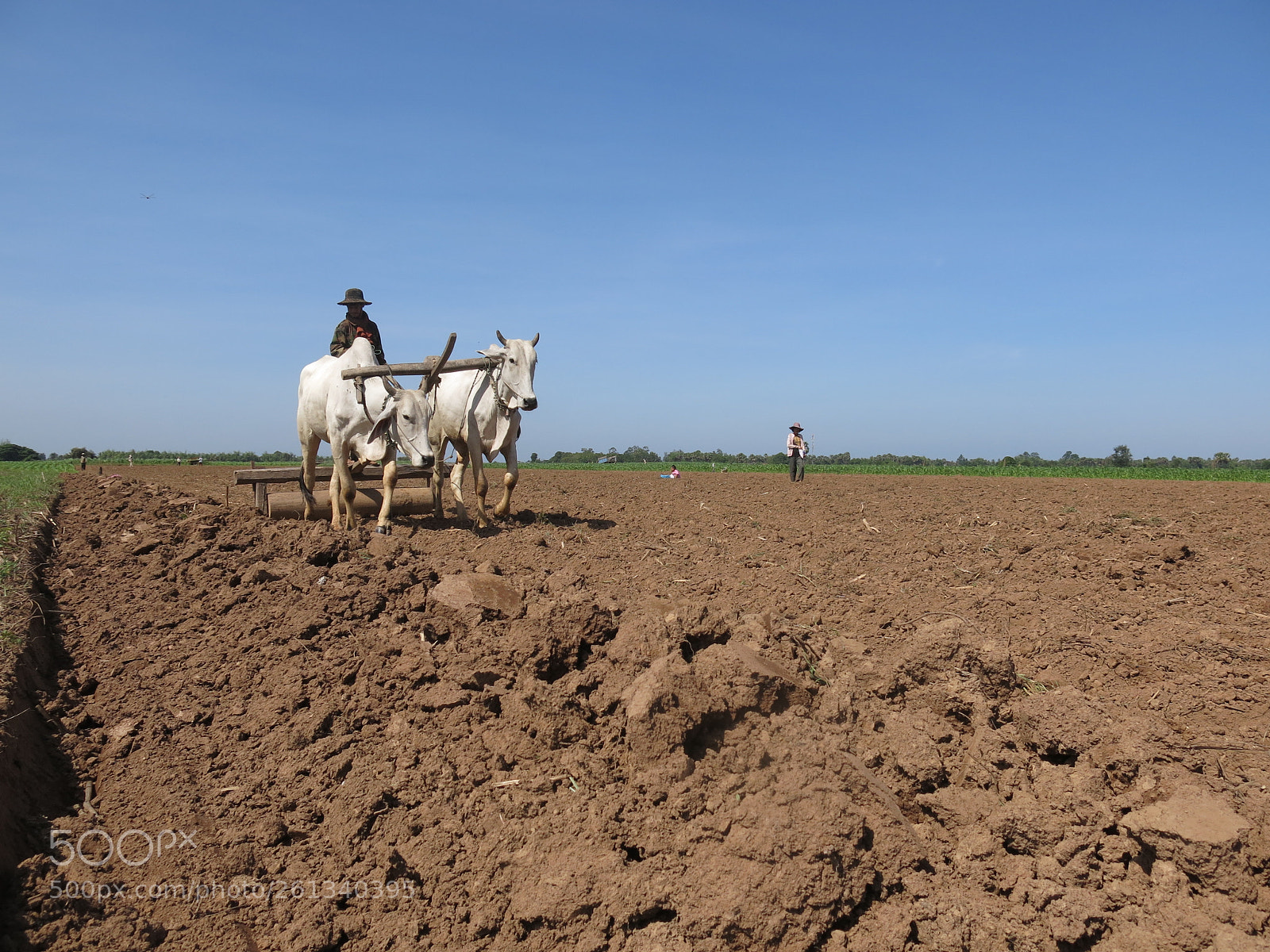 Canon PowerShot G15 sample photo. Farming photography