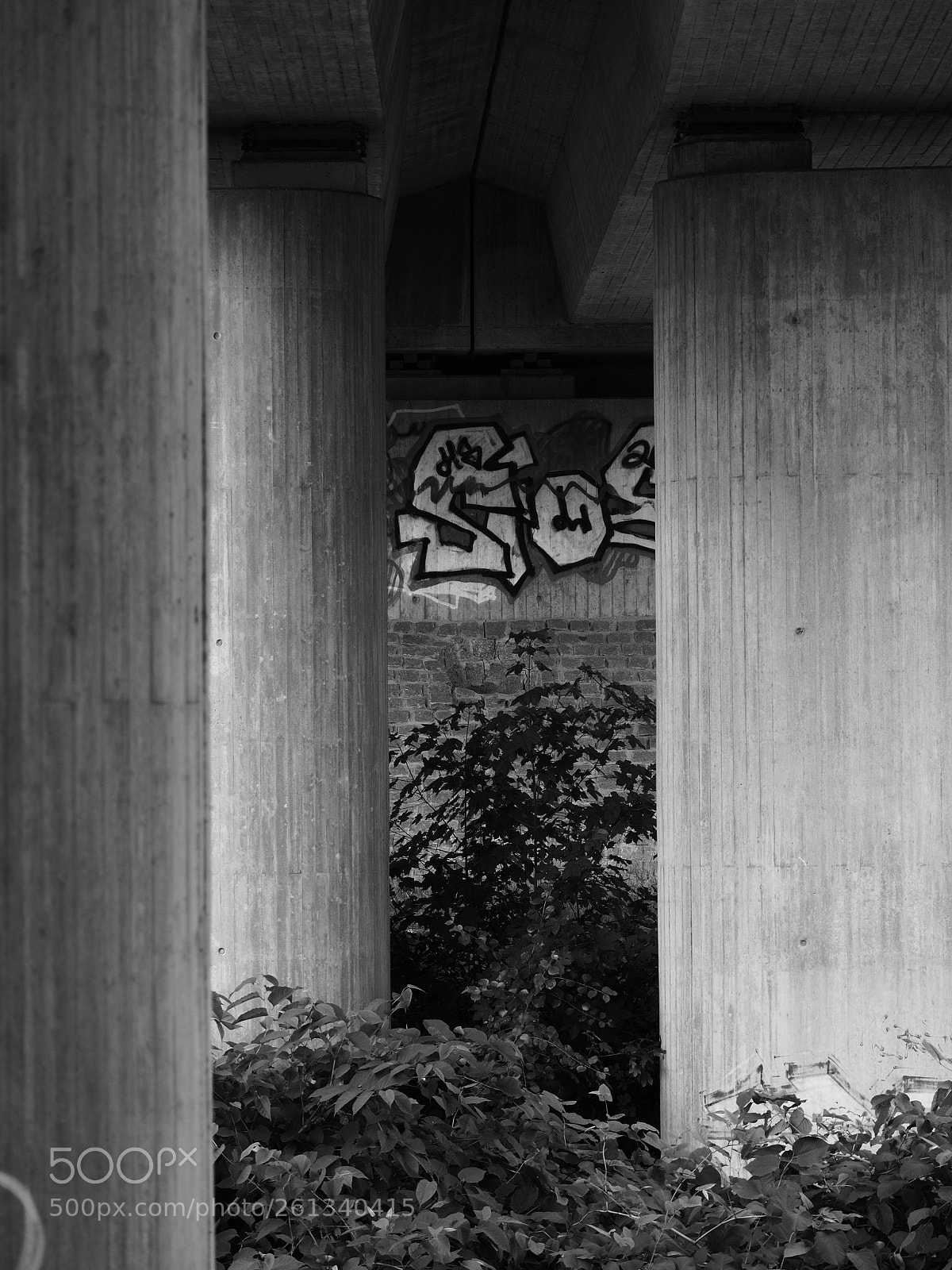 Olympus OM-D E-M10 II sample photo. In wehr. under the photography