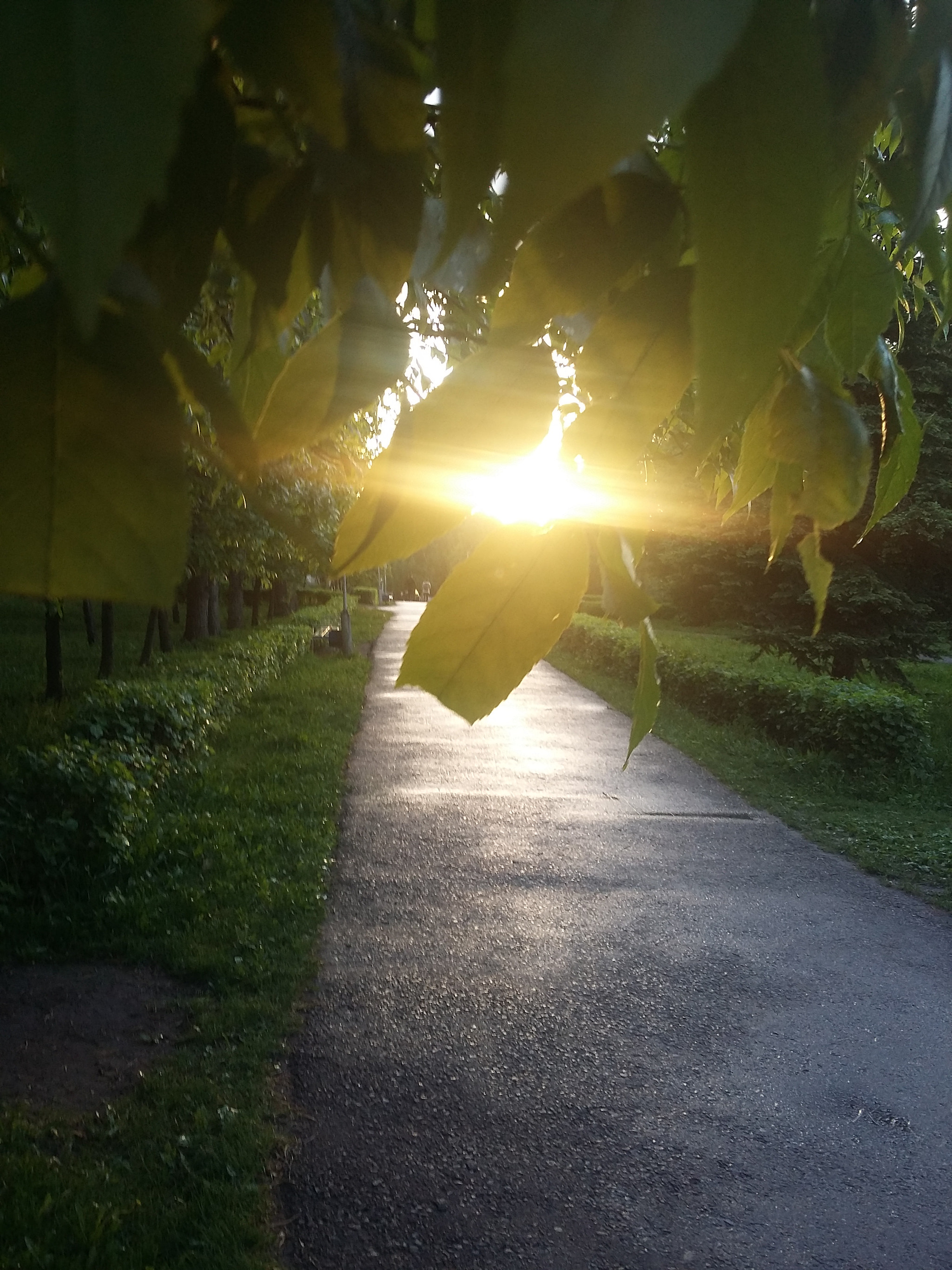Samsung Galaxy A3 sample photo