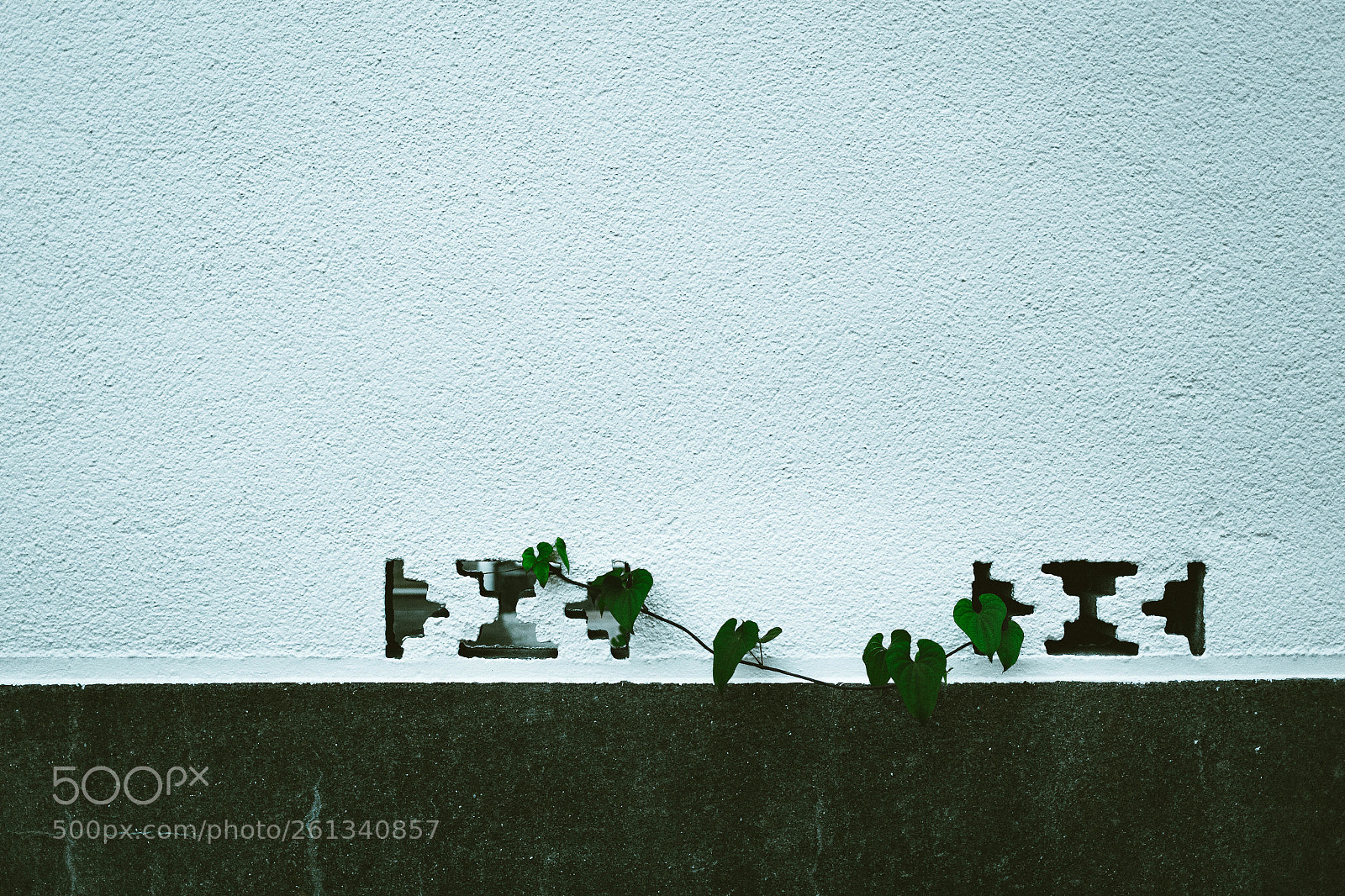 Canon EOS 6D sample photo. Untitled photography