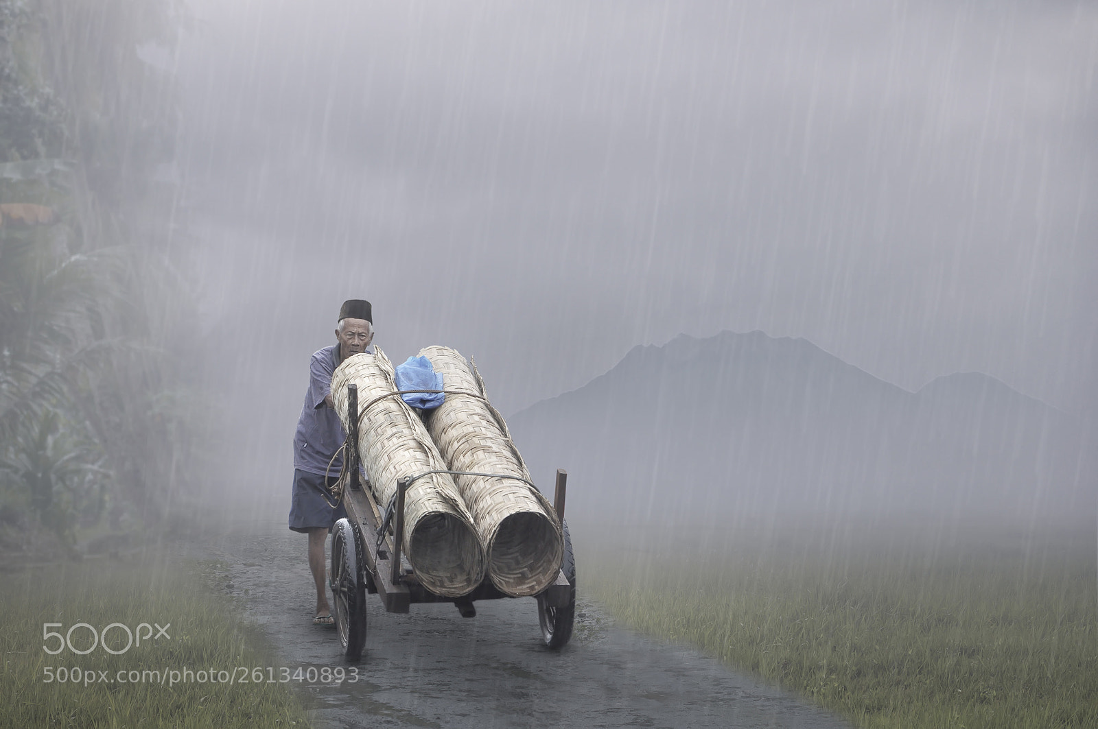 Nikon D90 sample photo. Selling woven bamboo photography