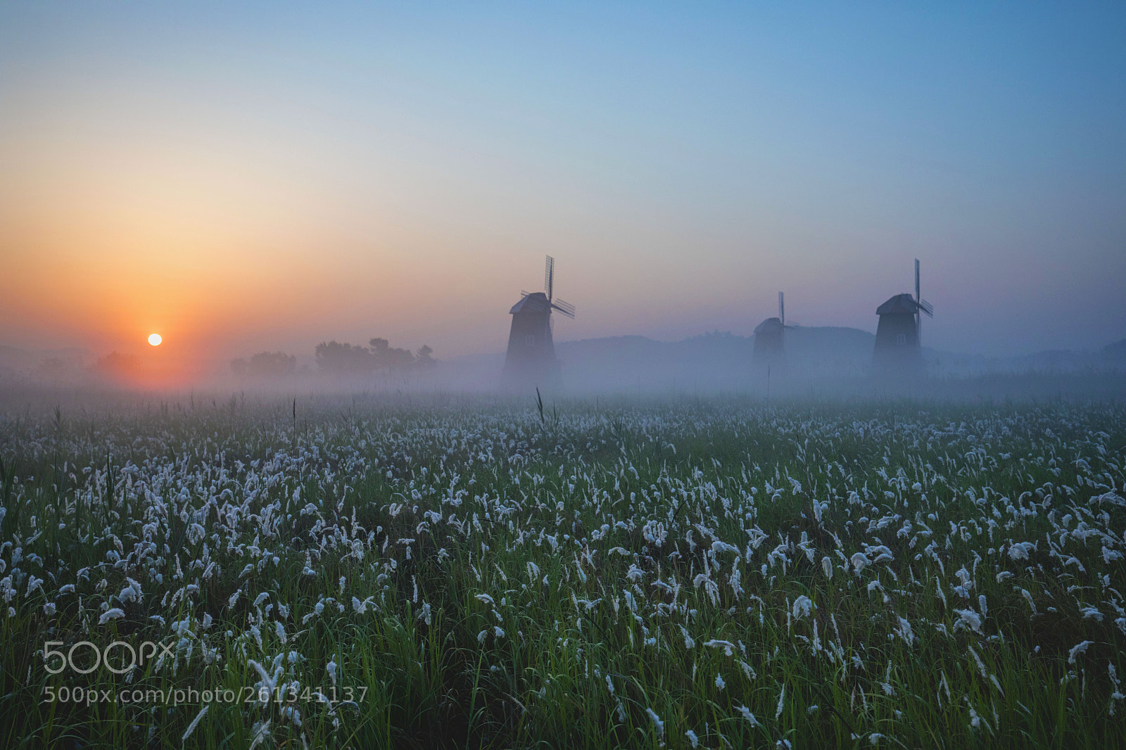 Canon EOS 5D Mark IV sample photo. Foggy morning photography