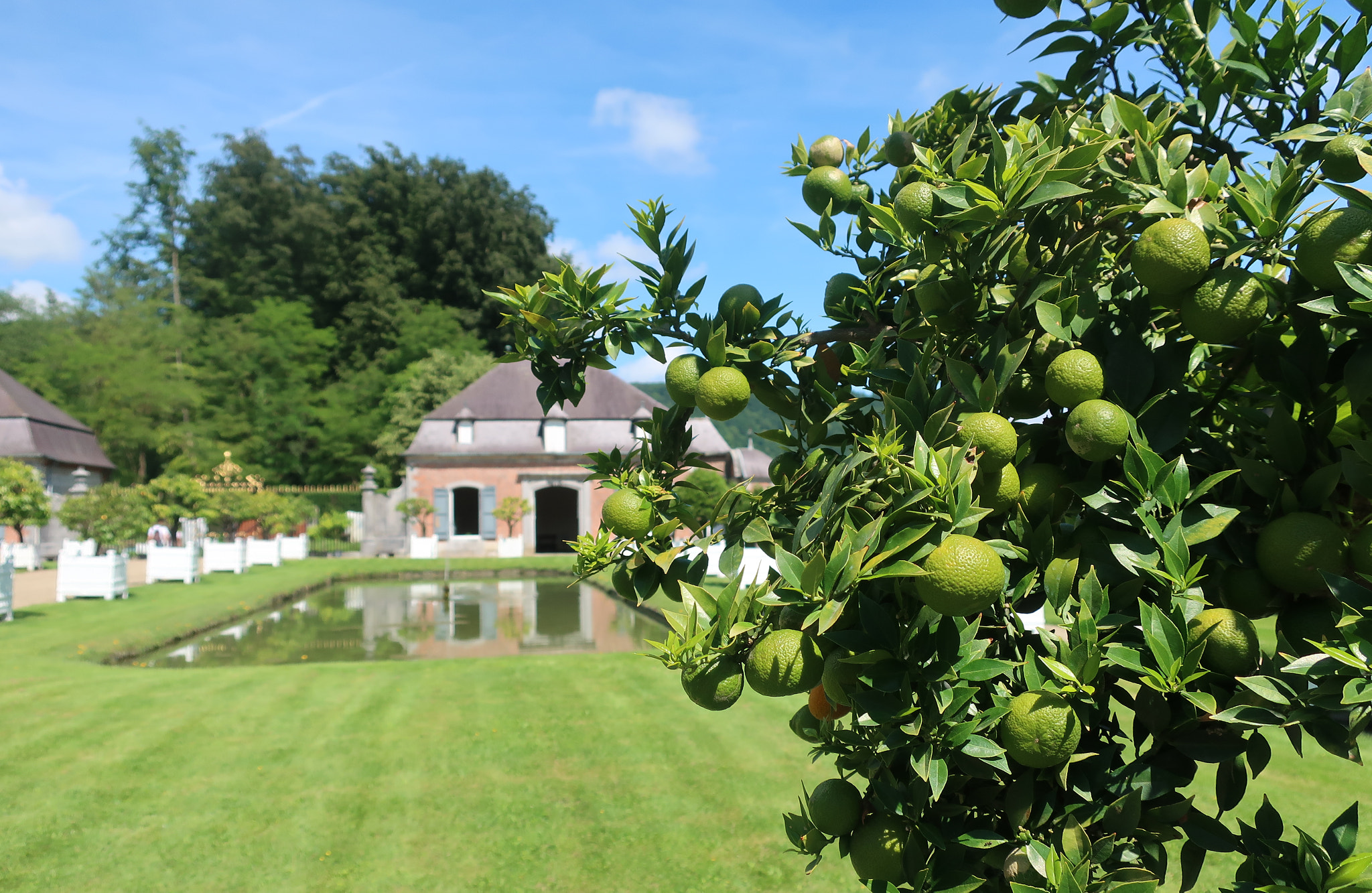 Canon PowerShot G9 X Mark II sample photo. In the "orangerie". photography
